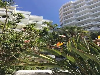 Apartment Tenerife Cosmopolitan Costa Adeje